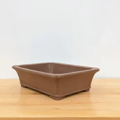 16-Inch Unglazed Yixing Bonsai Pot (No. 2465) 10 16-Inch Unglazed Yixing Bonsai Pot (No. 2465) -Home Decor Items Store PXL 20230822 181400108 06857.1692807144