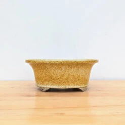 11-Inch Glazed Yixing Bonsai Pot (No. 2306d) -Home Decor Items Store PXL 20230823 194452107.NIGHT 23228.1695925116