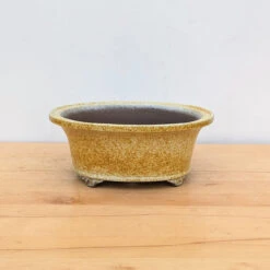 11-Inch Glazed Yixing Bonsai Pot (No. 2306d) -Home Decor Items Store PXL 20230823 194456181.NIGHT 47473.1695925115