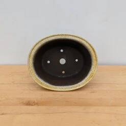 11-Inch Glazed Yixing Bonsai Pot (No. 2306d) -Home Decor Items Store PXL 20230823 194515681.NIGHT 83862.1695925122