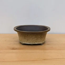 11-Inch Glazed Yixing Bonsai Pot (No. 2306e) 10 11-Inch Glazed Yixing Bonsai Pot (No. 2306e) -Home Decor Items Store PXL 20230823 194600447.NIGHT 73426.1695925209