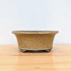 11-Inch Glazed Yixing Bonsai Pot (No. 2306g) 9 11-Inch Glazed Yixing Bonsai Pot (No. 2306g) -Home Decor Items Store PXL 20230823 194752923.NIGHT 89914.1695925389