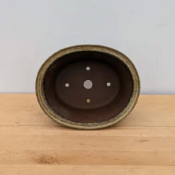 11-Inch Glazed Yixing Bonsai Pot (No. 2306g) 8 11-Inch Glazed Yixing Bonsai Pot (No. 2306g) -Home Decor Items Store PXL 20230823 194816652.NIGHT 70584.1695925396