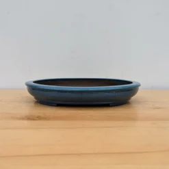 11-Inch Glazed Yixing Bonsai Pot (No. 2442) -Home Decor Items Store PXL 20230824 184627910.NIGHT 16774.1695926273