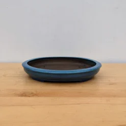 11-Inch Glazed Yixing Bonsai Pot (No. 2442) -Home Decor Items Store PXL 20230824 184631508.NIGHT 68396.1695926264