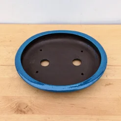 11-Inch Glazed Yixing Bonsai Pot (No. 2442) -Home Decor Items Store PXL 20230824 184700495.NIGHT 57582.1695926268