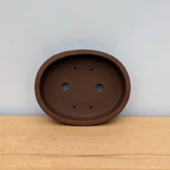 11-Inch Unglazed Yixing Bonsai Pot (No. 2477) -Home Decor Items Store PXL 20230829 200143412.NIGHT 26099.1693932202