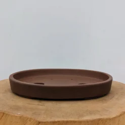 9-Inch Unglazed Yixing Bonsai Pot (No. 2459) -Home Decor Items Store PXL 20230829 201312207.NIGHT 87864.1693932557