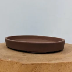 9-Inch Unglazed Yixing Bonsai Pot (No. 2459) -Home Decor Items Store PXL 20230829 201319514.NIGHT 38976.1693932569