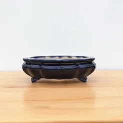 10-Inch Glazed Yixing Bonsai Pot (No. 2317d)