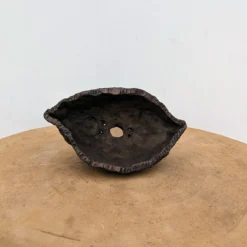 6" Handmade Planter By Moe Lewis-Wolf (No. 2)