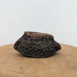 6" Handmade Planter By Moe Lewis-Wolf (No. 2) -Home Decor Items Store PXL 20230912 175440474 73674.1695656234