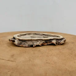 6" Handmade Planter By Moe Lewis-Wolf (No. 15) -Home Decor Items Store PXL 20230912 2008584512 20446.1695657344