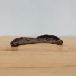 10" Handmade Planter By Moe Lewis-Wolf (No. 21) -Home Decor Items Store PXL 20230915 153226844 35406.1695139335 1