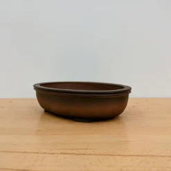 11-Inch Unglazed Yixing Bonsai Pot (No. 2484) 9 11-Inch Unglazed Yixing Bonsai Pot (No. 2484) -Home Decor Items Store PXL 20231003 185604482.MP2 21692.1696959188