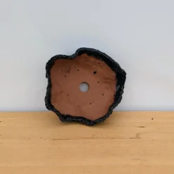 10" Handmade Planter By Moe Lewis-Wolf (No. 31) -Home Decor Items Store PXL 20231003 194404440 61799.1698678435