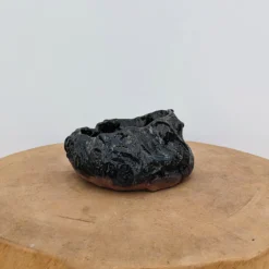 5" Handmade Planter By Moe Lewis-Wolf (No. 33) -Home Decor Items Store PXL 20231003 194650238 66602.1698678698