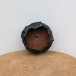 5" Handmade Planter By Moe Lewis-Wolf (No. 33) -Home Decor Items Store PXL 20231003 194703135 77880.1698678698