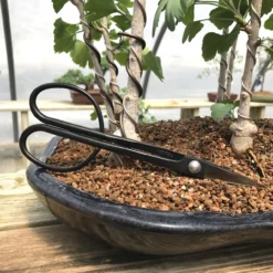 Tinyroots Carbon Steel Long Bonsai Shear - Known As The Hasami Shear, They're Great For Defoliating Or Cutting Smaller Branches With Ease. -Home Decor Items Store TR 05Rimg 02610.1640284853 1