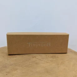 Tinyroots Premium Stainless Steel Burin Carving Tools -Home Decor Items Store tinyroots bonsai carving tool box 56070.1696348615