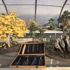 Tinyroots Ultimate Package - Stainless Steel Tool Kit. Contains 11 Of The Finest Stainless Steel Bonsai Tools In The World - All Packaged In A Luxurious, Custom Made Bamboo Box. -Home Decor Items Store trk 07 3 27090.1633718503